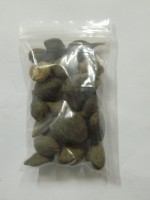 Ikines de orula (21 und)